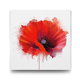 Tabloshop Vektörel Gelincik 80x80 cm Tablo