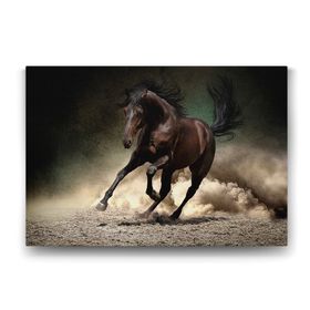 Tabloshop Yabani At 125x80 cm Tablo