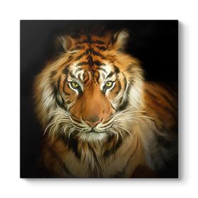 Tabloshop Yağlıboya Kaplan 60x60cm Tablo