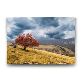 Tabloshop Yalnız Kırmızı Ağaç 100x70 cm Tablo