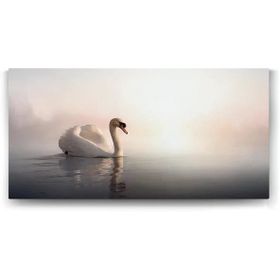 Tabloshop Yalnız Kuğu 160x80 cm Tablo