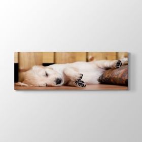 Tabloshop Yavru Golden Kanvas Tablo