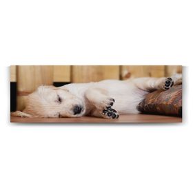 Tabloshop Yavru Golden Kanvas Tablo