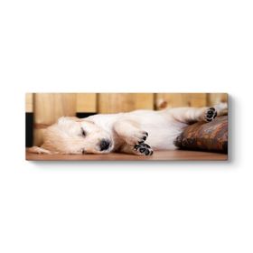 Tabloshop Yavru Golden Kanvas Tablo
