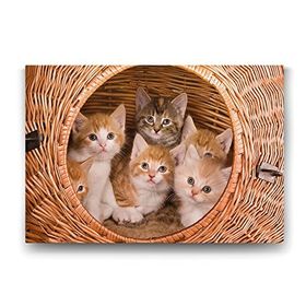 Tabloshop Yavru Kediler 125x80 cm Tablo