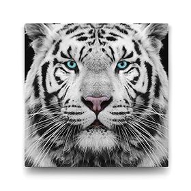 Tabloshop Yeşil Gözlü Beyaz Kaplan 90x90 cm Tablo
