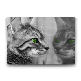 Tabloshop Yeşil Gözlü Kedi 100x70 cm Tablo