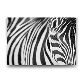 Tabloshop Zebra 125x80 cm Tablo