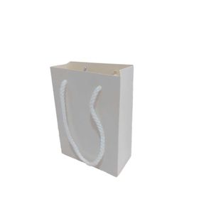 Tahtakale Toptancıları 13.8X10X5 cm 25 Adet Beyaz İp Saplı Minik Boy Düz Renk Karton Çanta