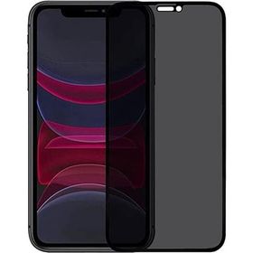 Tahticmer Apple iPhone 12 Hayalet Gizlilik Filtreli Komple Cam Kırılmaz Ekran Koruyucu