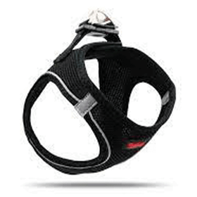 Tailpetz Air Mesh Harness Siyah XLarge Göğüs Tasması