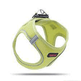 Tailpetz Air Mesh Küçük Irk Köpek Göğüs Tasması
