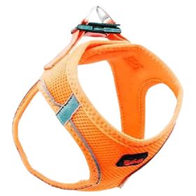 Tailpetz Air Mesh L Neon Turuncu Köpek Göğüs Tasması