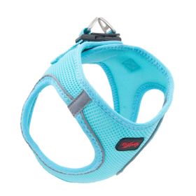 Tailpetz Air Mesh Medium 44 x 48 cm Turkuaz Köpek Göğüs Tasma