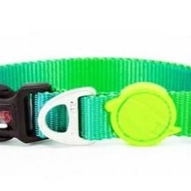 Tailpetz Amazon Collar M Köpek Boyun Tasması