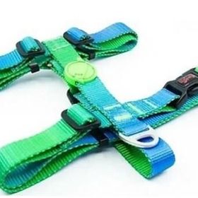 Tailpetz Amazon H Harness M Köpek Göğüs Tasması