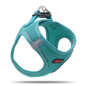Tailpetz B08VX1GYK9 Air Mesh Emerald Köpek Göğüs Tasması