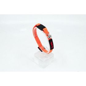 Tailpetz Easy&Safety Lock Çıngıraklı Ayarlanabilir Turuncu Kedi Boyun Tasması