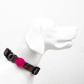 Tailpetz Graffiti XS Köpek Boyun Tasması