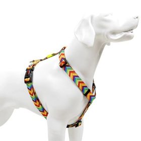 Tailpetz H-Tipi S Gökkuşağı Köpek Göğüs Tasması