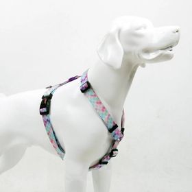 Tailpetz Harness Bubbles 32-51 cm Küçük Irk Köpek Göğüs Tasması