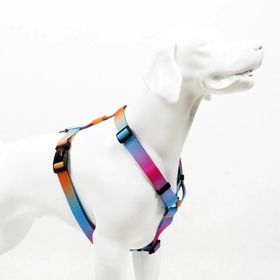 Tailpetz Harness Pass 32-51 cm Küçük Irk Köpek Göğüs Tasması