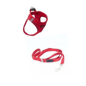 Tailpetz Kırmızı Medium Sevk Kayışı