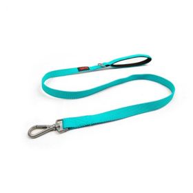 Tailpetz Match Turkuaz 100x1.5 cm Kedi ve Köpek Gezdirme Kayışı