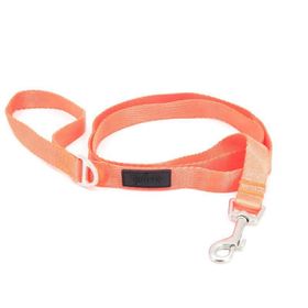 Tailpetz Neon Turuncu Köpek Gezdirme Kayışı