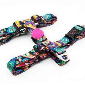Tailpetz Paisley Desenli Xsmall 19-33x22-37 cm Köpek Boyun Tasması
