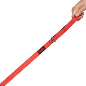 Tailpetz Prism Desenli 130x2 cm Kedi ve Köpek Gezdirme Kayışı