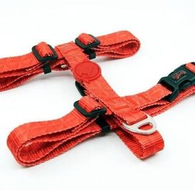 Tailpetz Prism Desenli 19-33x22-37 cm Köpek Göğüs Tasması