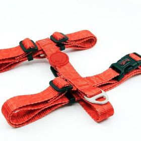 Tailpetz Prism L H-Tipi Köpek Göğüs Tasması