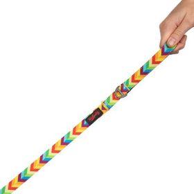 Tailpetz Rainbow Desenli 100x1.5 cm Kedi ve Köpek Gezdirme Kayışı