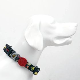Tailpetz Small 25-40 cm Space Köpek Boyun Tasması