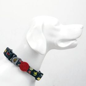 Tailpetz Small 25-40 cm Space Köpek Boyun Tasması