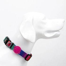 Tailpetz Wave XS Köpek Boyun Tasması
