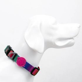 Tailpetz Wave XS Köpek Boyun Tasması