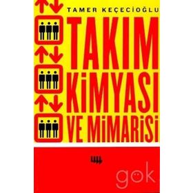TAKIM KIMYASI VE MIMARISI - GENEL
