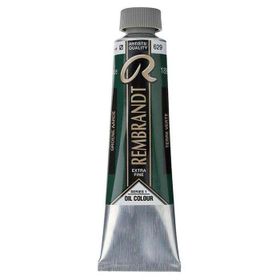 Talens Rembrandt Extra-Fine Seri 1 Terre Verte 629 40 ml Yağlı Boya