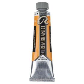 Talens Rembrandt Extra-Fine Seri 4 Cadmium Yellow Deep 210 40 ml Yağlı Boya