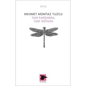 Tam Karşımda, Tam Ortada / Mehmet Mümtaz Tuzcu / Alakarga Sanat Yayınları