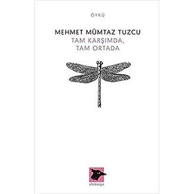 Tam Karşımda, Tam Ortada / Mehmet Mümtaz Tuzcu / Alakarga Sanat Yayınları