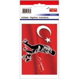 Tanex STC-274 Ata 2 Adet Etiket
