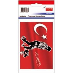 Tanex STC-274 Ata 2 Adet Etiket
