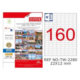 Tanex TW-2280 22x12 mm Silver 25 Adet Laser Etiket