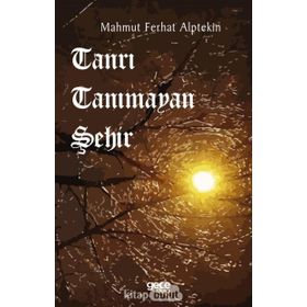 Tanrı Tanımayan Şehir- Mahmut Ferhat Alptekin
