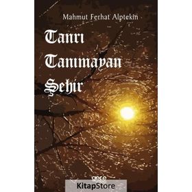 Tanrı Tanımayan Şehir- Mahmut Ferhat Alptekin
