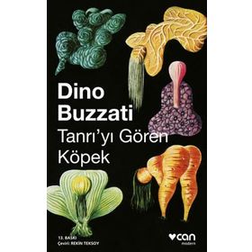 Tanrı'yı Gören Köpek: La Boutique Del Mistero