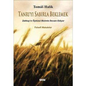 Tanrı’yı Sabırla Beklemek - Tomas Halik